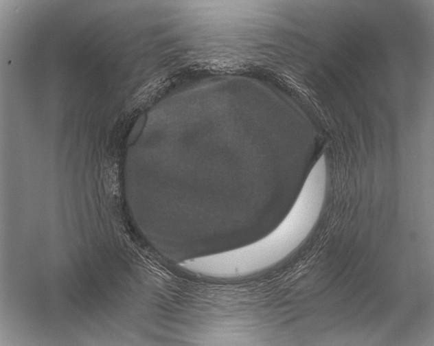 X0000056380689200509232225