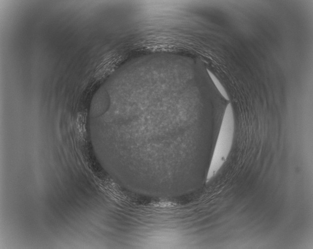 X0000056380695200509232225