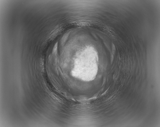 X0000056380696200509232225