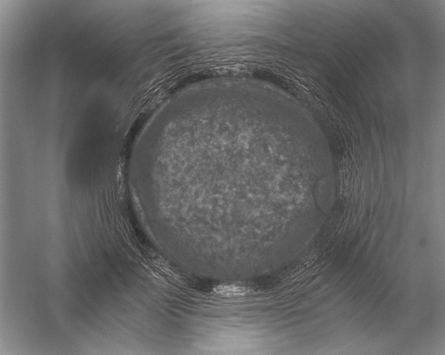 X0000056380699200509232225