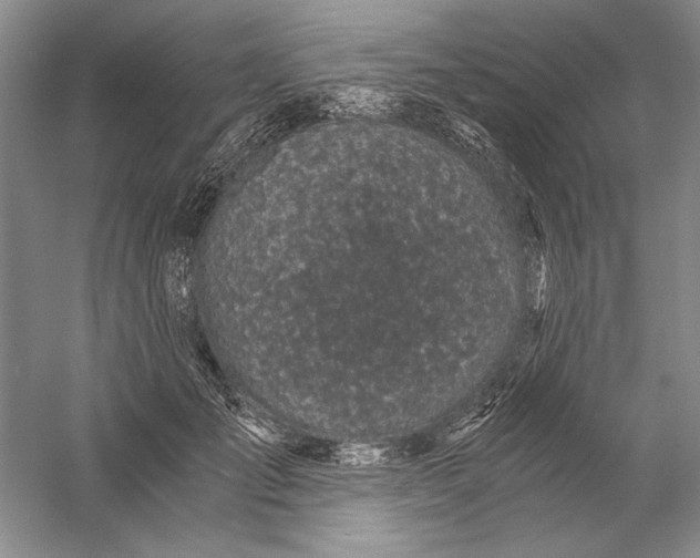 X0000056380701200509232225