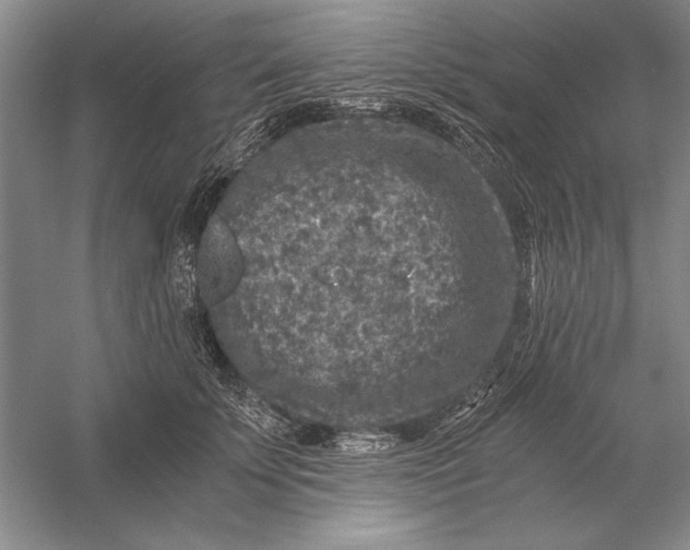 X0000056380707200509232225