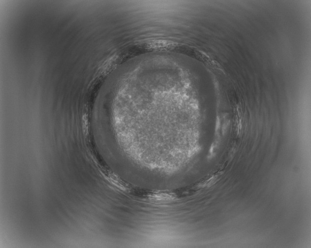 X0000056380716200509232224