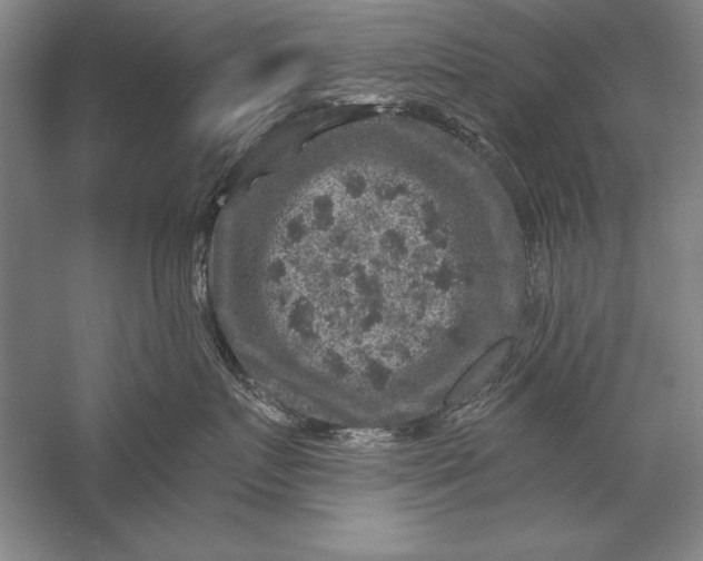 X0000056380719200509232224