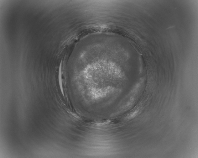 X0000056380720200509232224