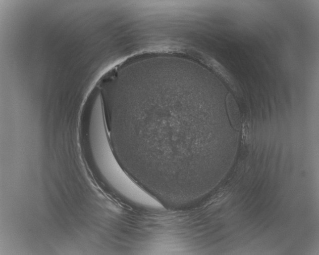 X0000056380724200509232224