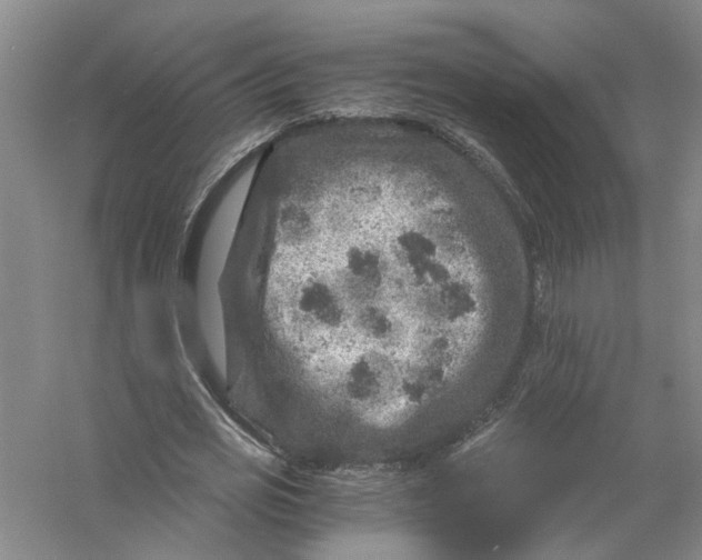 X0000056380725200509232224