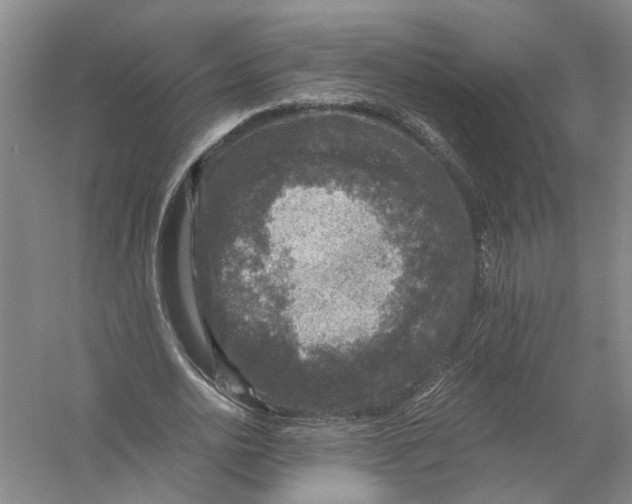 X0000056380726200509232224