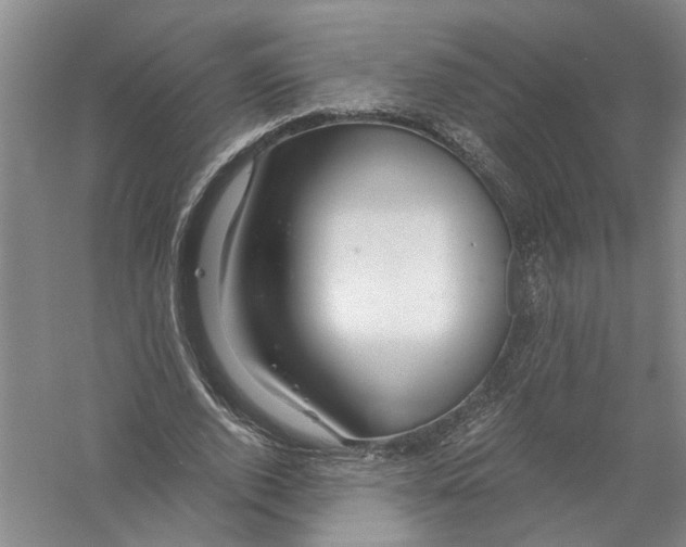 X0000056380728200509232224