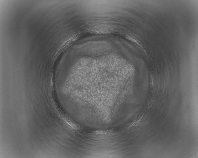 X0000056380733200509232224