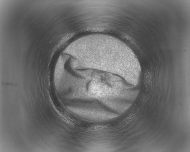 X0000056380734200509232224