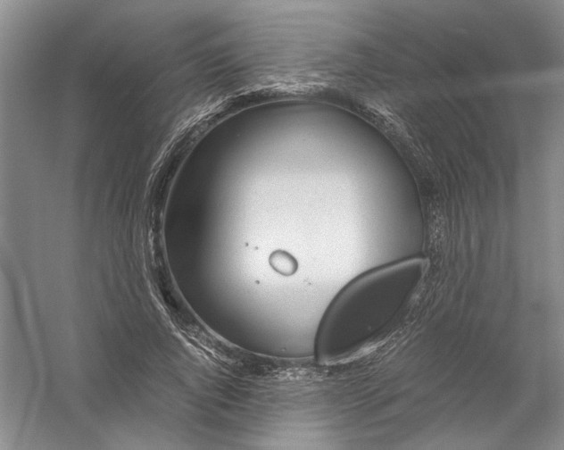 X0000056380736200509232224