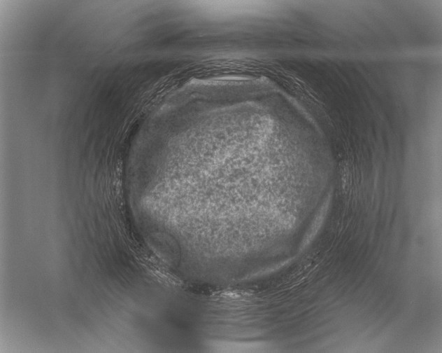 X0000056380737200509232224