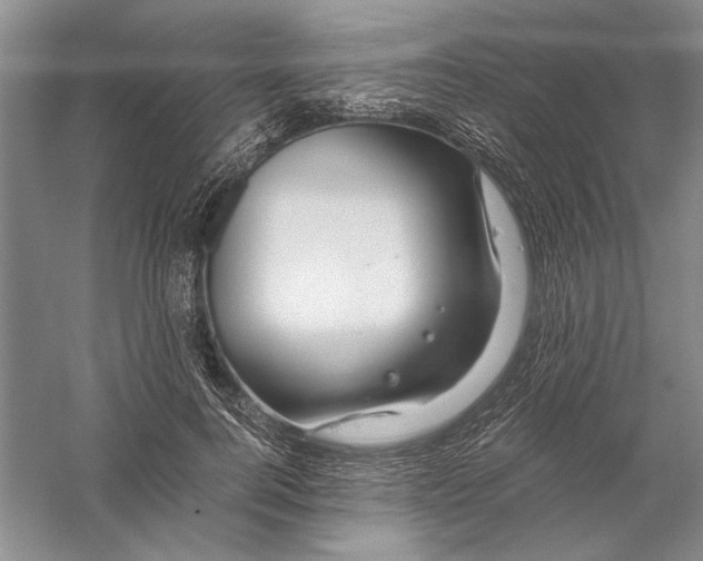 X0000056380744200509232224