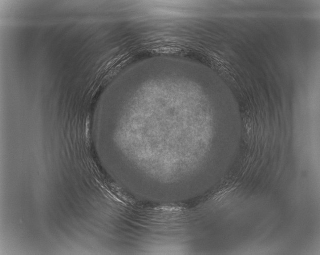 X0000056380745200509232224