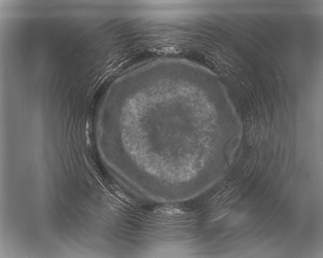 X0000056380747200509232224