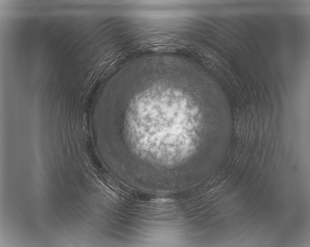 X0000056380748200509232224