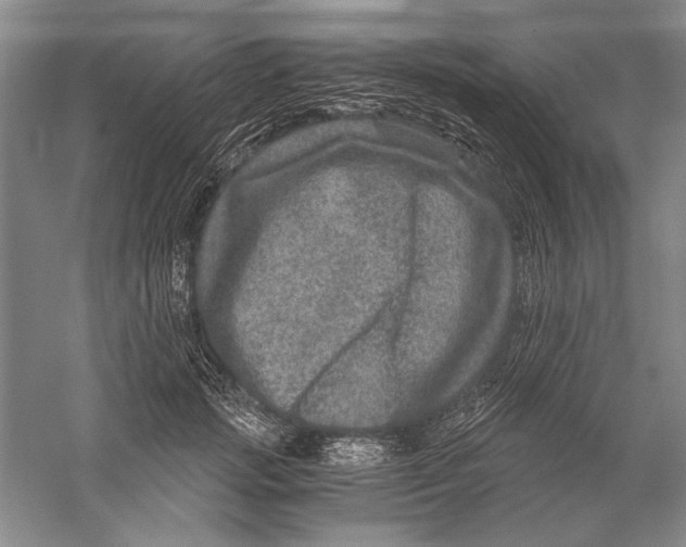 X0000056380749200509232224