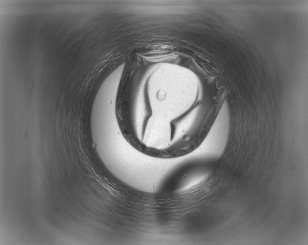 X0000056380750200509232224