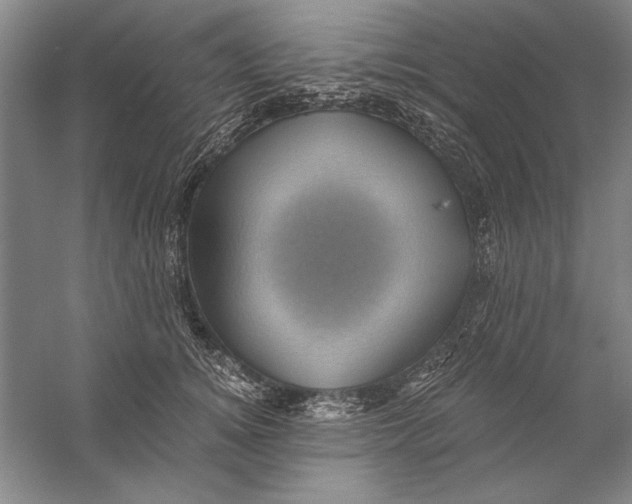 X0000056380756200509232224