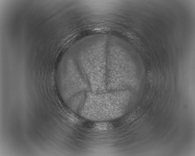 X0000056380757200509232224