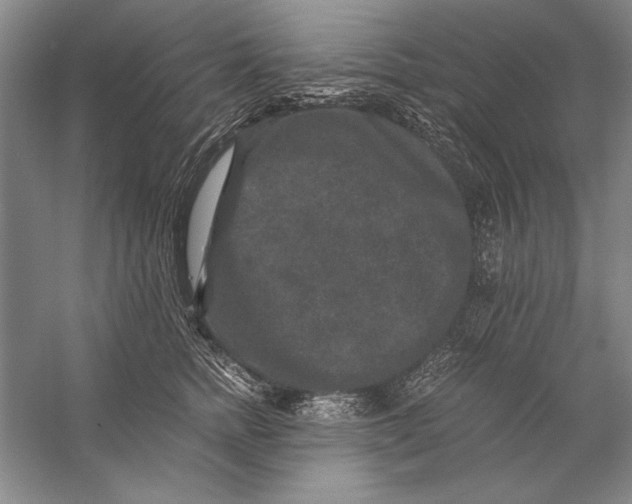 X0000056380758200509232224