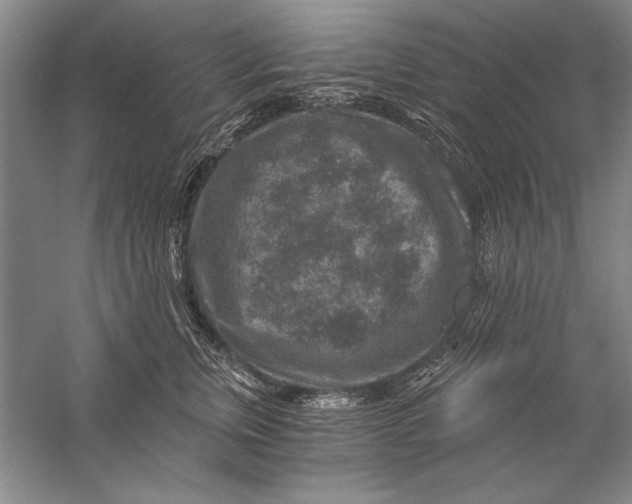 X0000056380759200509232224