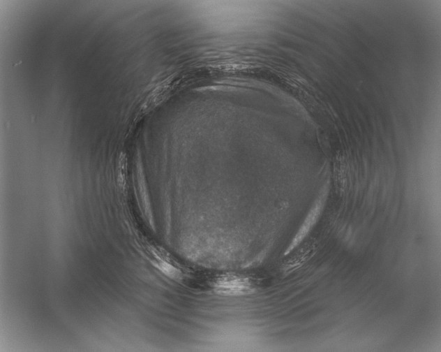 X0000056380760200509232224