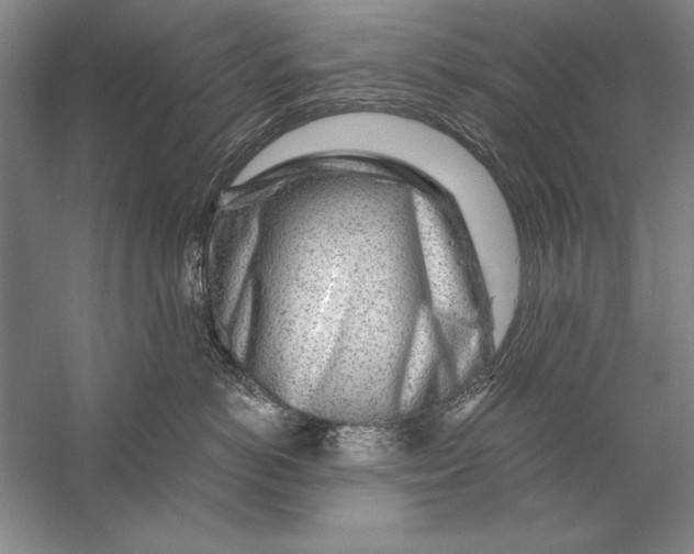 X0000056380766200509232224