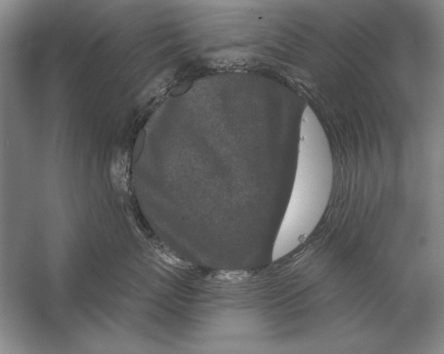 X0000056380767200509232224