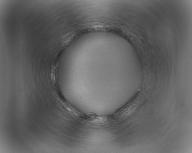 X0000056380768200509232224