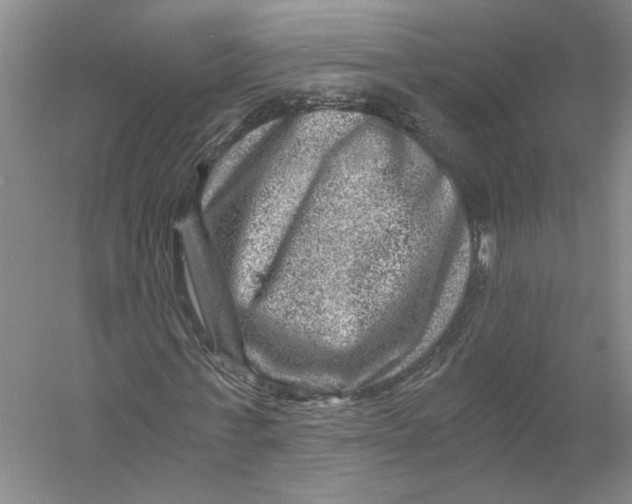 X0000056380771200509232224