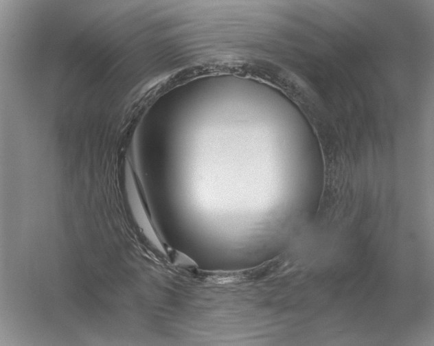 X0000056380773200509232224