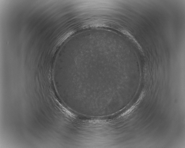 X0000056380785200509232223