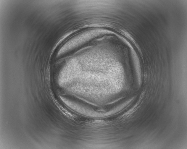 X0000056380787200509232223