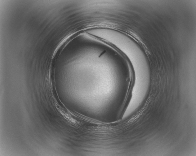 X0000056380788200509232223