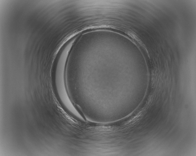 X0000056380789200509232223