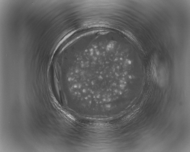 X0000056380790200509232223