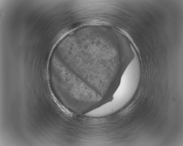 X0000056380795200509232223