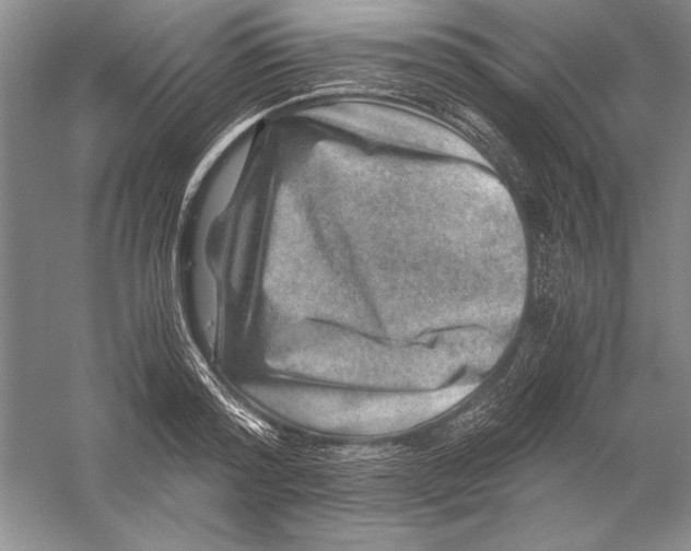 X0000056380796200509232223