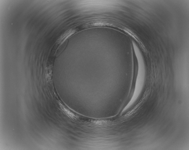 X0000056380801200509232223