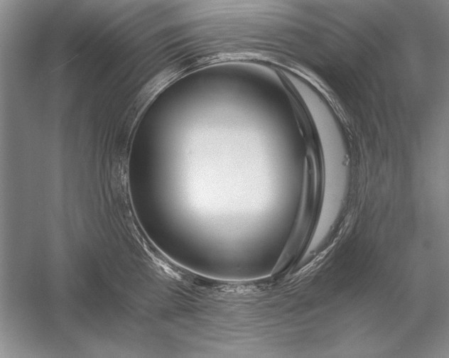 X0000056380809200509232223