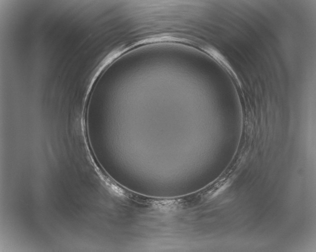 X0000056380813200509232223