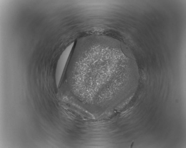 X0000056380818200509232222