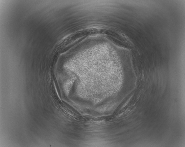 X0000056380821200509232222