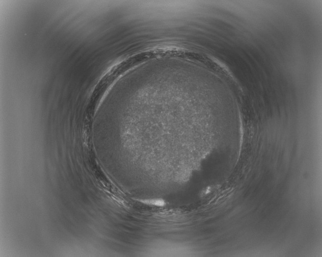 X0000056380823200509232222