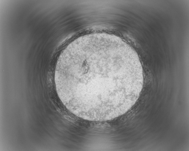 X0000056380824200509232222