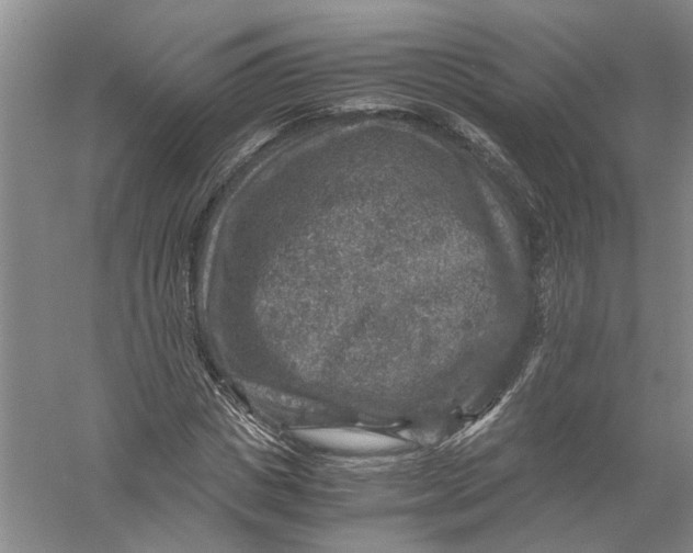 X0000056380825200509232222