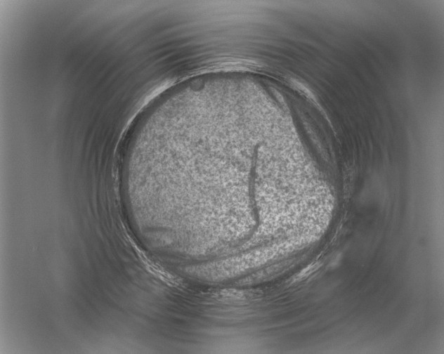 X0000056380827200509232222