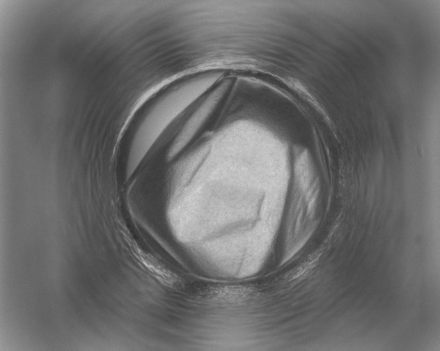 X0000056380830200509232222